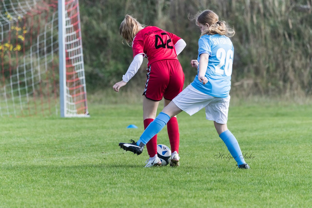 Bild 312 - wBJ TuS Tensfeld - SV Fortuna St. Juergen